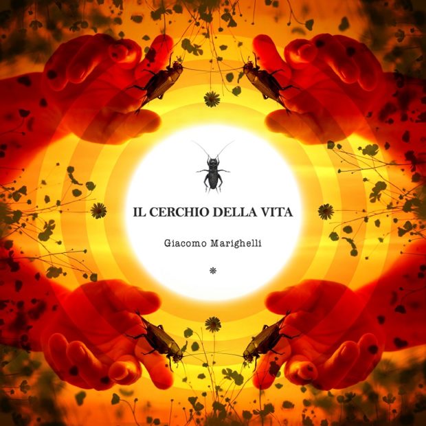 cover-web