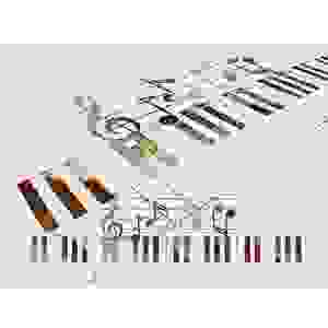 Basi musicali professionali