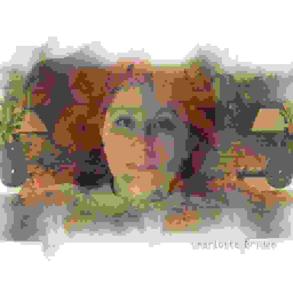 Charlotte Bridge (Ep omonimo) - Recensione