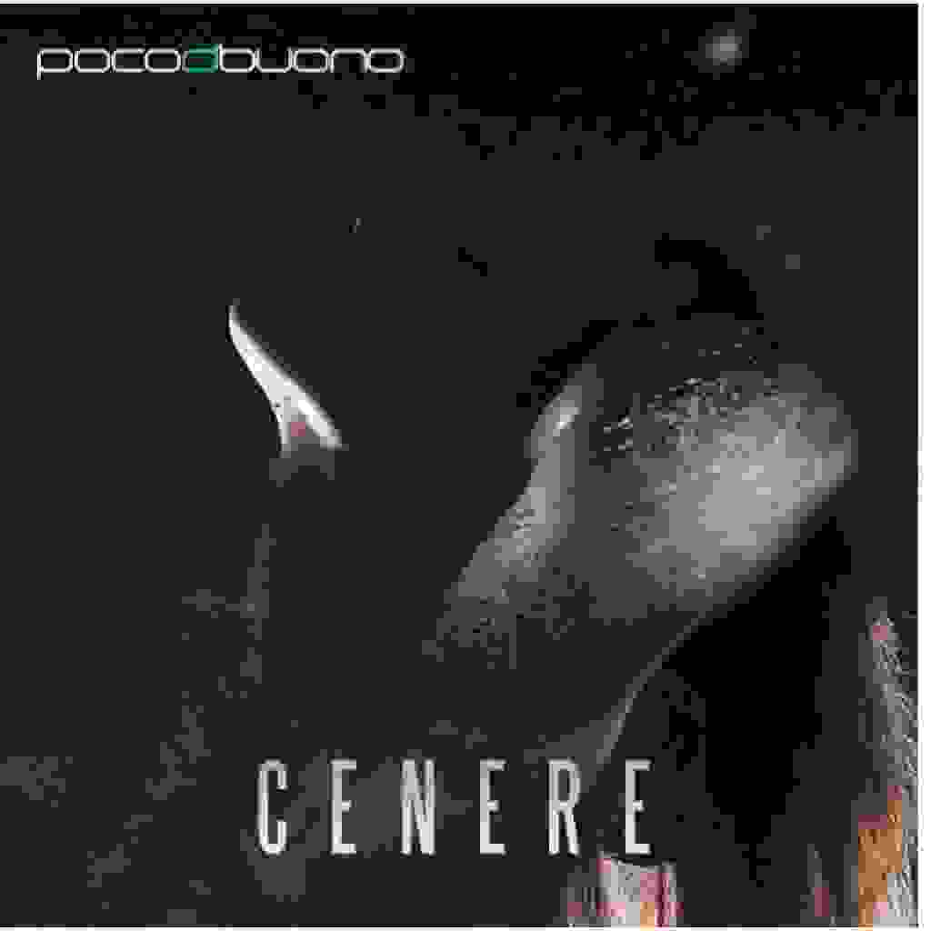 “CENERE” : canzone rivelazione dei Poco di Buono