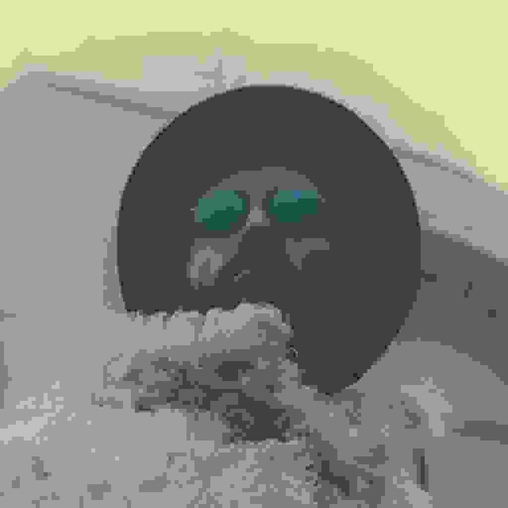 LO YETI -