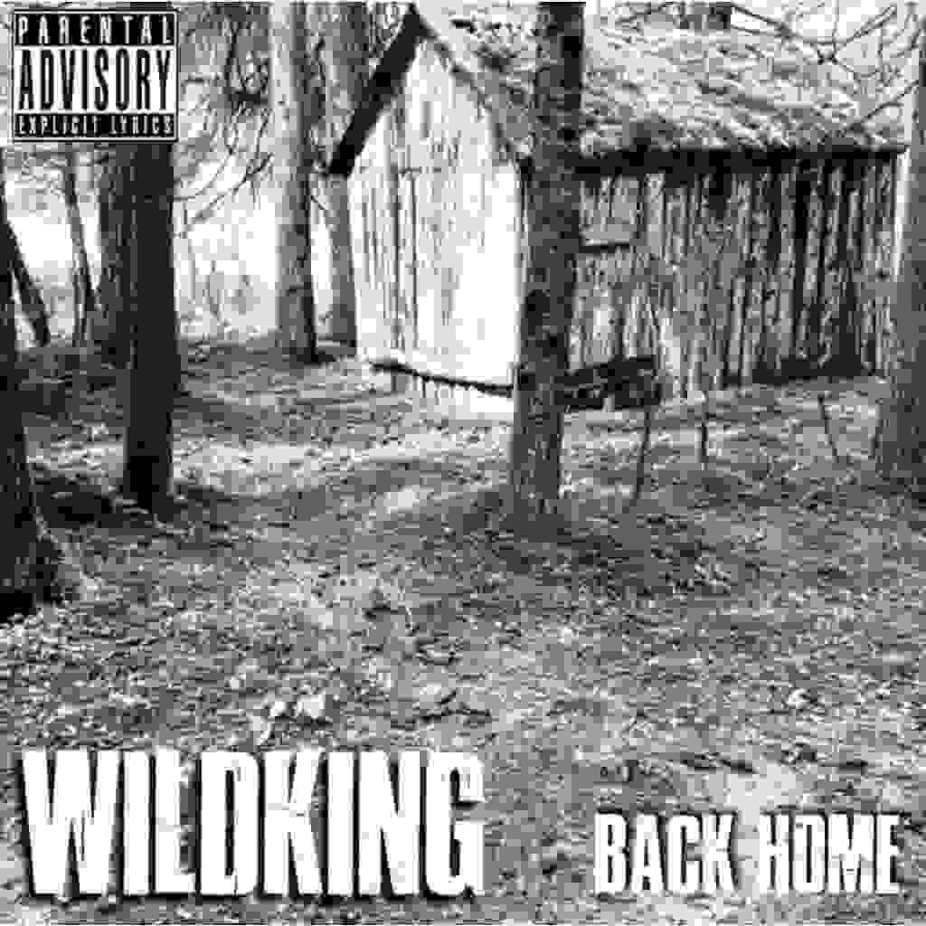 I WildKing tirano fuori “Back home” [Recensione]