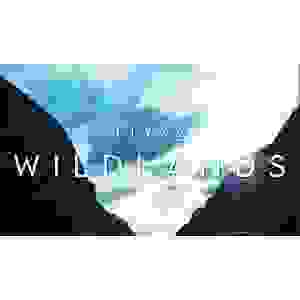 ELYAZ - Wildlands